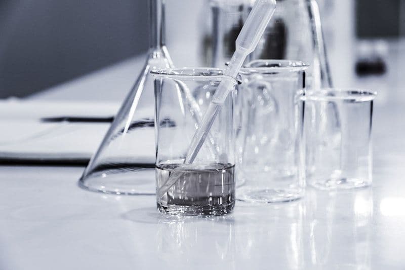 Cellversity